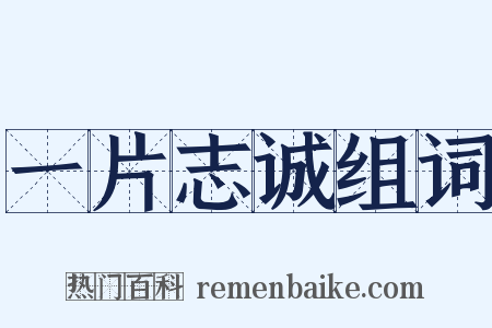 一片志诚组词是什么意思的图片